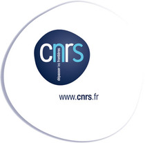 Logo_cartouche_copie_copie